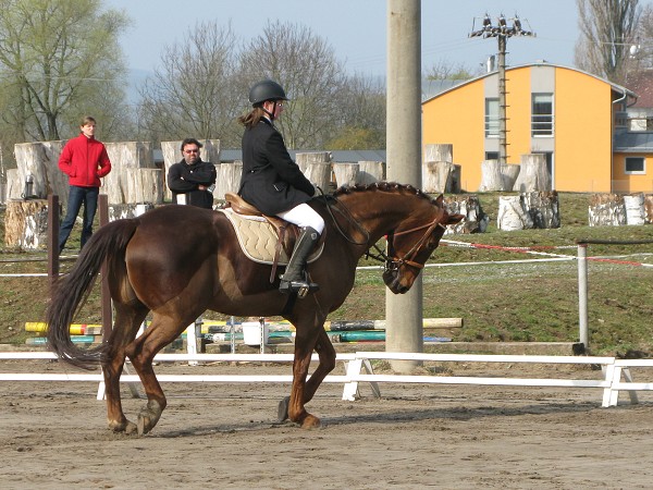 ZZVJ_7.4.2012
