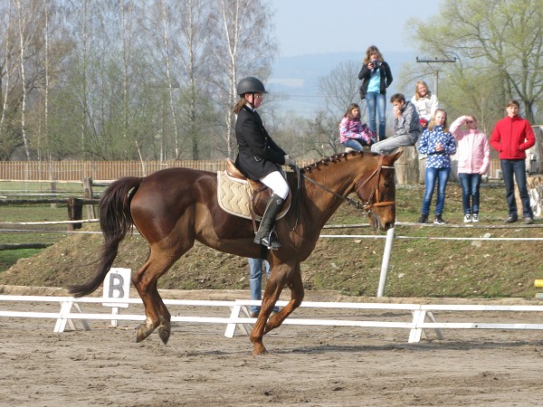ZZVJ_7.4.2012