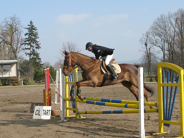 ZZVJ_7.4.2012