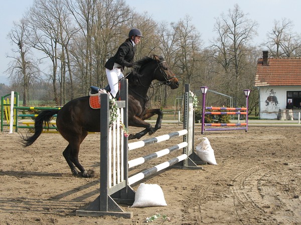 ZZVJ_7.4.2012