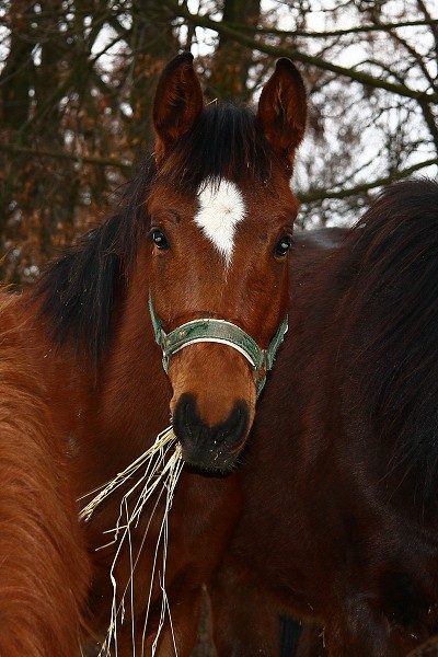  Hj 21.1.2011