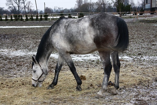  Hj 21.1.2011