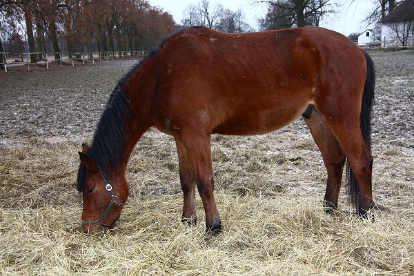  Hj 21.1.2011