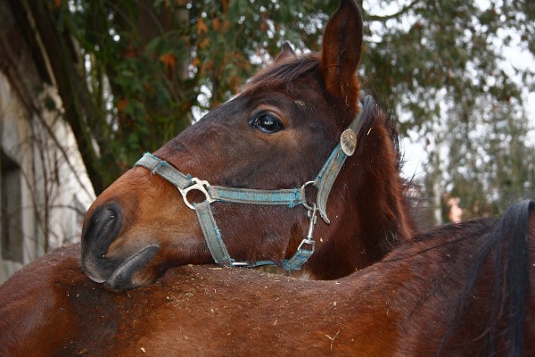  Hj 21.1.2011