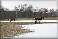 IMG_0200 