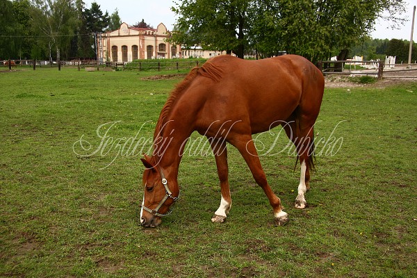  Hj ohrady 5.9.2010