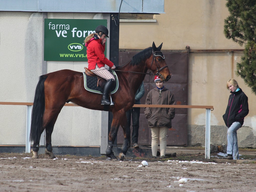 Hobby 31. b�ezna 2013 10:52:57