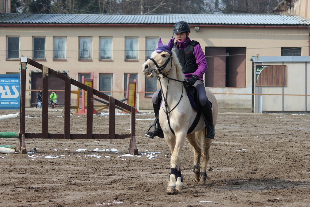 Hobby 31. b�ezna 2013 10:54:45