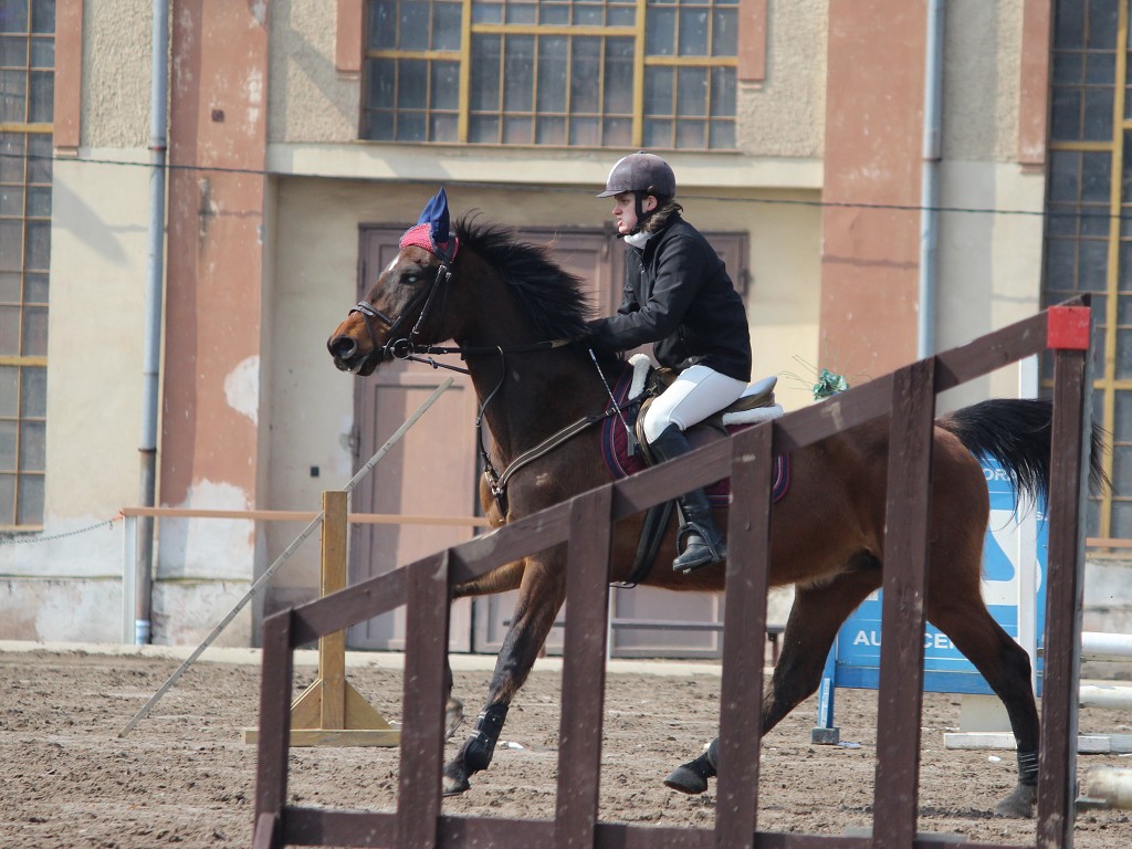 Hobby 31. b�ezna 2013 11:29:00