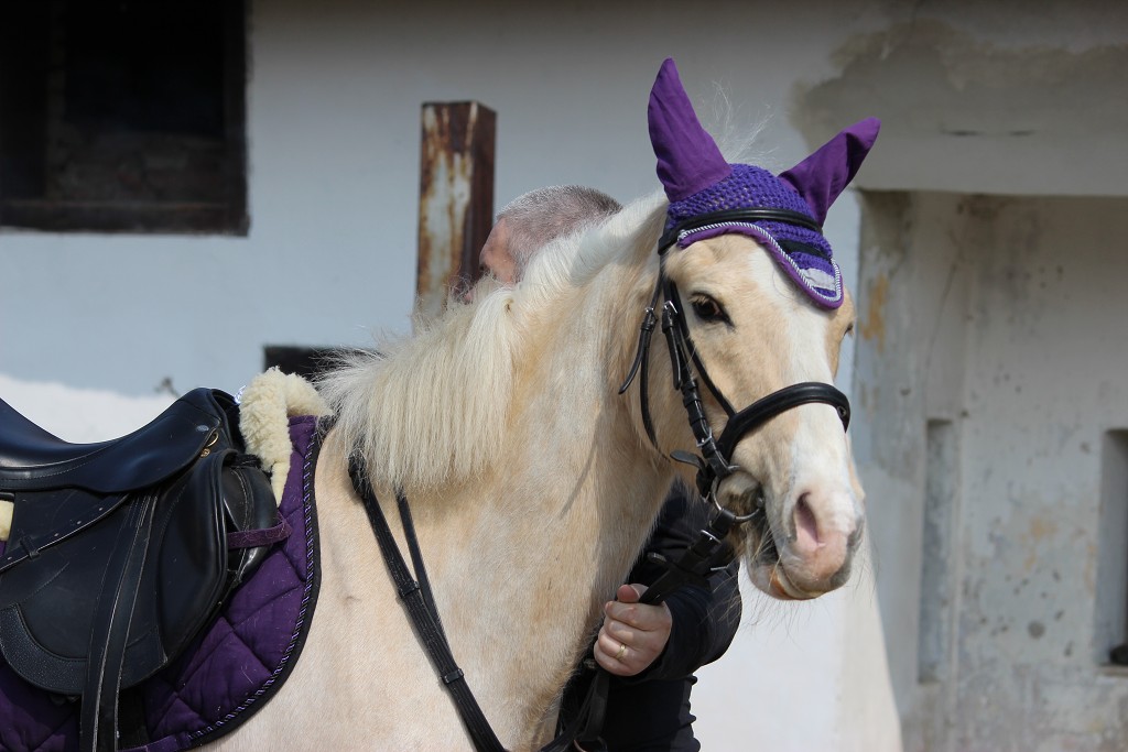 Hobby 31. b�ezna 2013 11:29:46