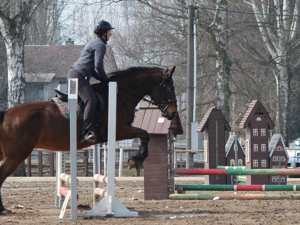 Hobby 31. b�ezna 2013 11:31:47