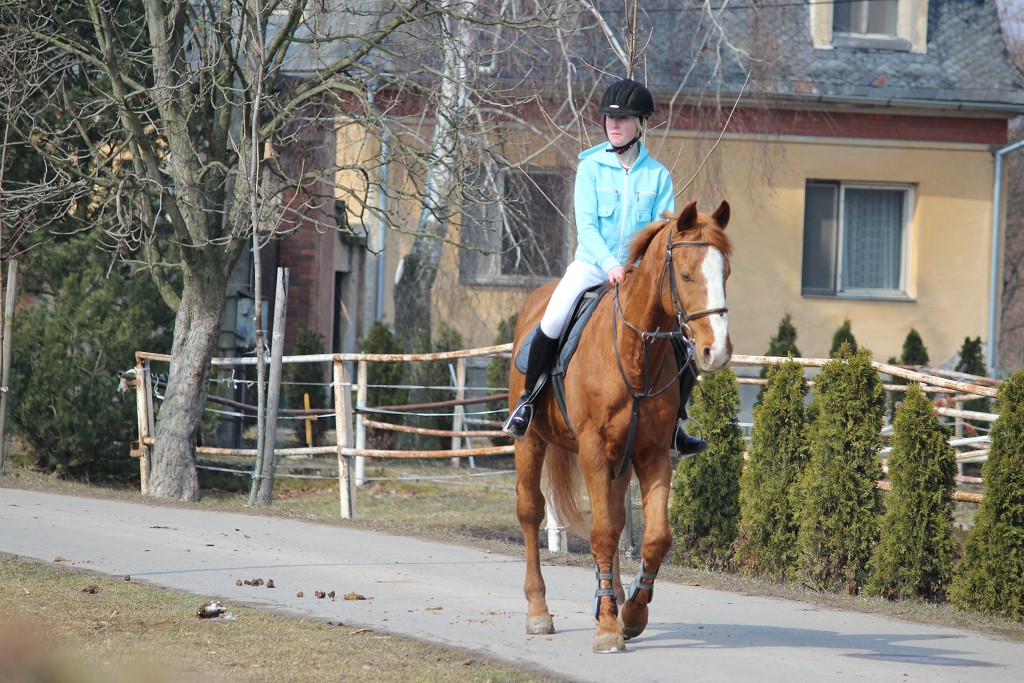 Hobby 31. b�ezna 2013 11:32:28