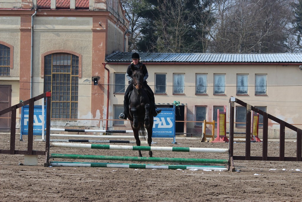 Hobby 31. b�ezna 2013 11:35:03