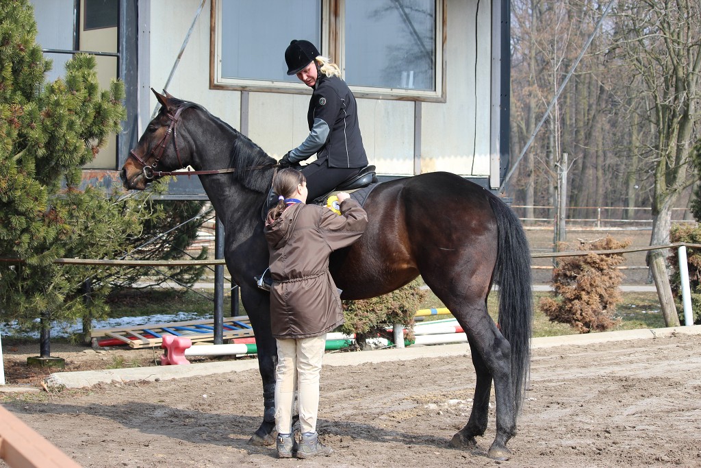 Hobby 31. b�ezna 2013 11:38:00