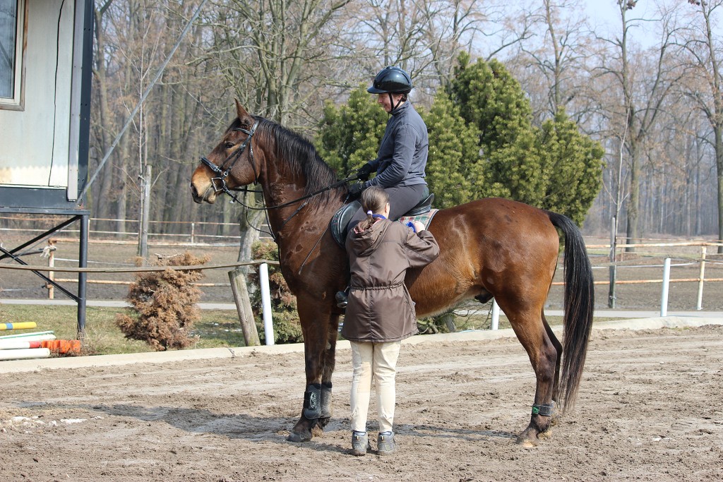 Hobby 31. b�ezna 2013 11:39:25