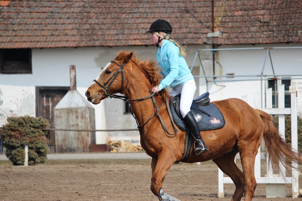 Hobby 31. b�ezna 2013 11:53:29