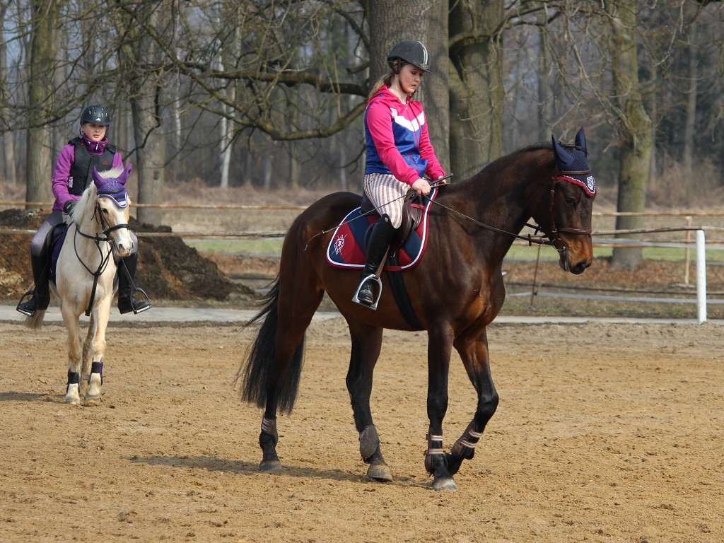 Hobby 31. b�ezna 2013 11:55:30