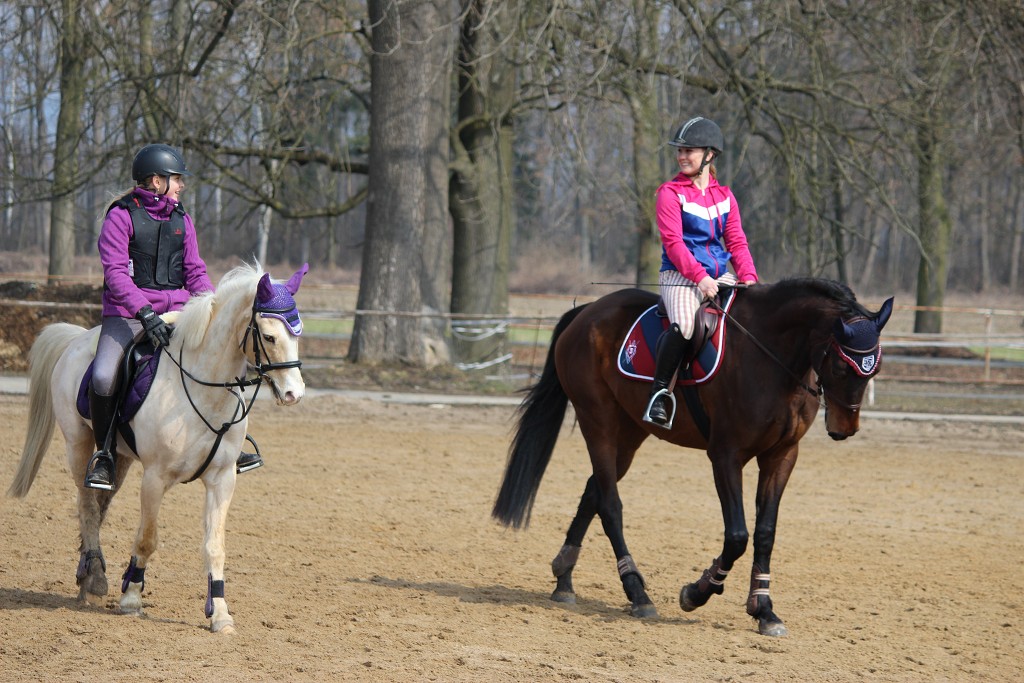 Hobby 31. b�ezna 2013 11:55:56