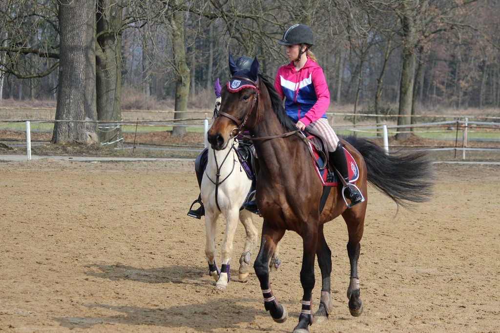 Hobby 31. b�ezna 2013 11:56:36