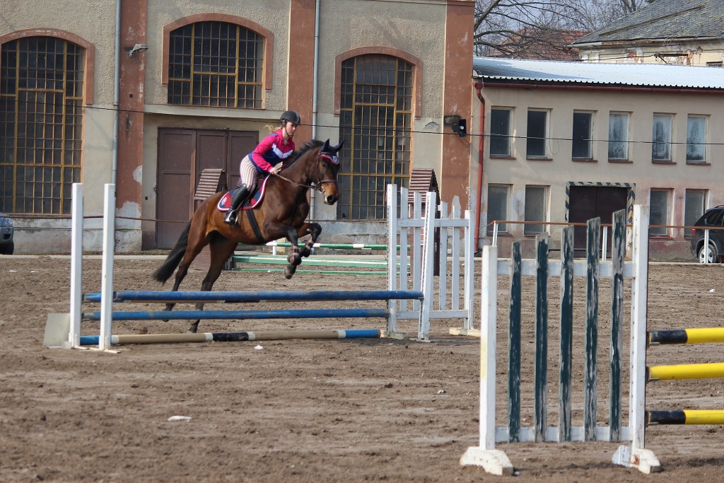 Hobby 31. b�ezna 2013 11:58:54