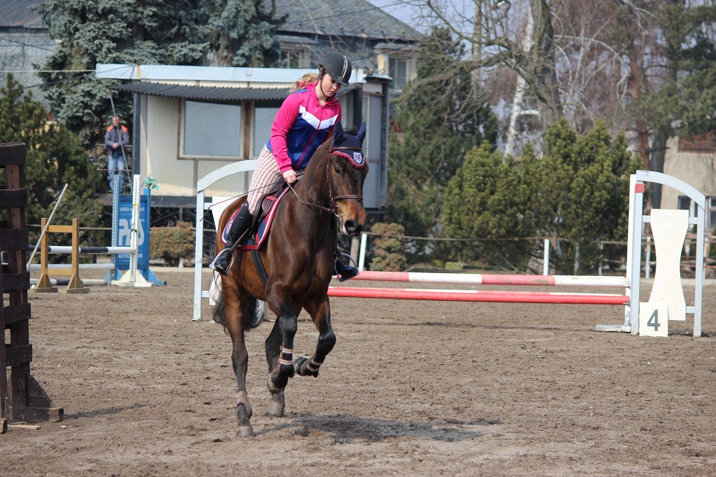 Hobby 31. b�ezna 2013 11:59:25