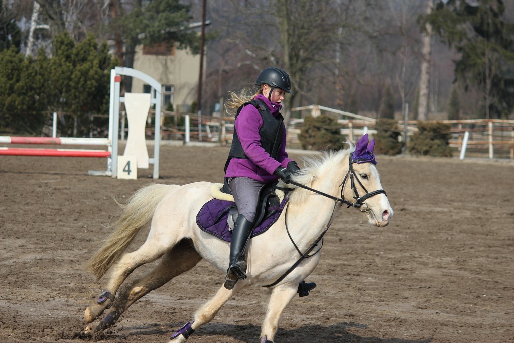 Hobby 31. b�ezna 2013 12:01:04