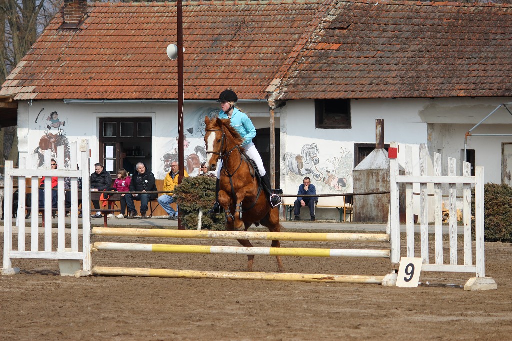 Hobby 31. b�ezna 2013 12:01:55