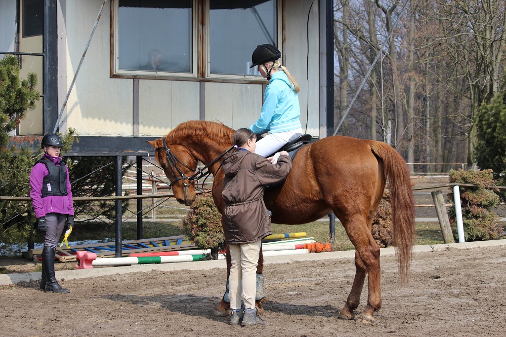 Hobby 31. b�ezna 2013 12:05:25