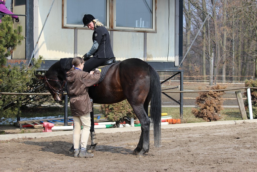 Hobby 31. b�ezna 2013 12:06:05