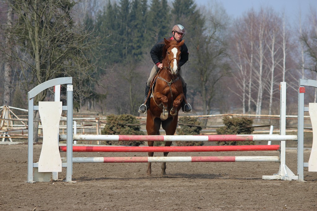 Hobby 31. b�ezna 2013 12:33:18