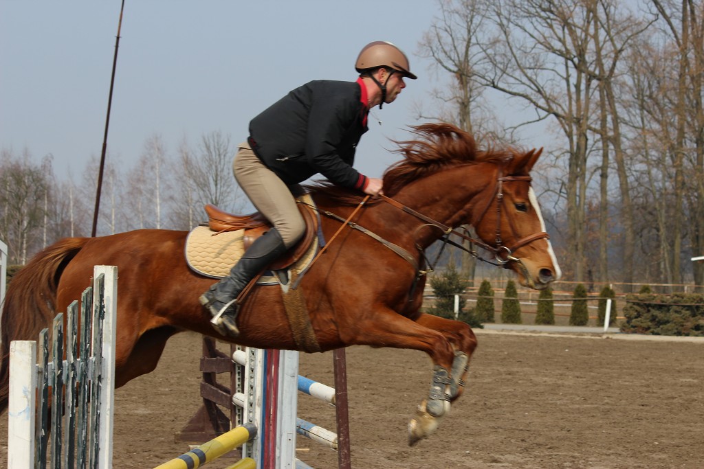 Hobby 31. b�ezna 2013 12:33:46