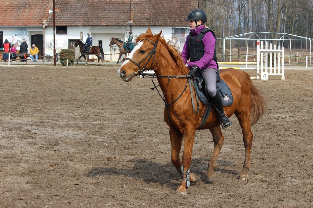 Hobby 31. b�ezna 2013 12:34:22