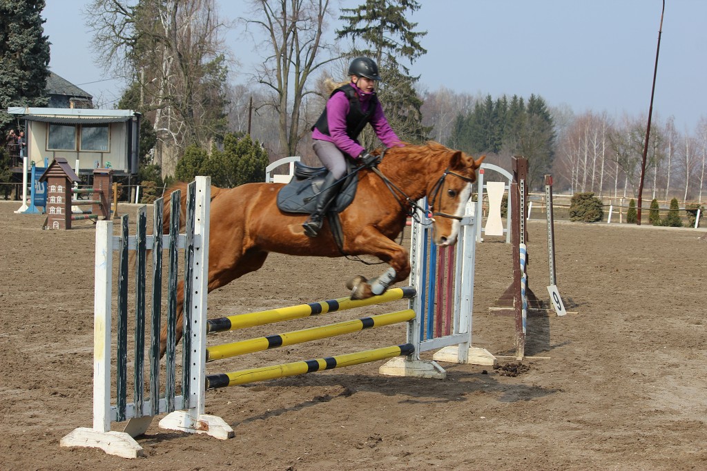 Hobby 31. b�ezna 2013 12:35:28