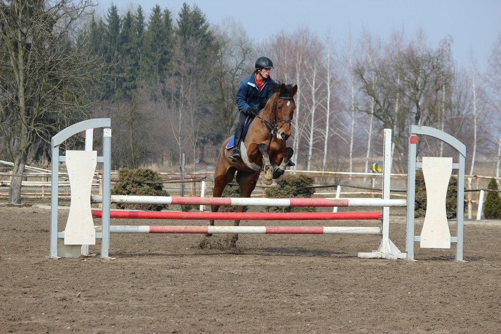 Hobby 31. b�ezna 2013 12:38:40