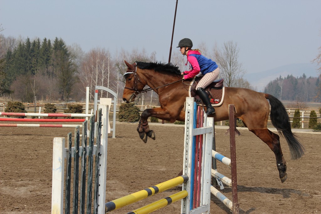 Hobby 31. b�ezna 2013 12:40:45