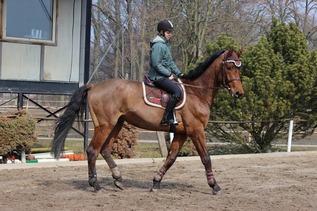 Hobby 31. b�ezna 2013 12:44:09