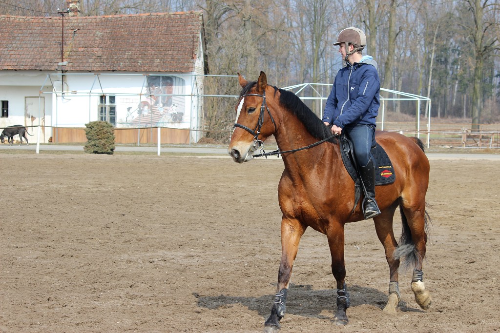 Hobby 31. b�ezna 2013 13:10:42