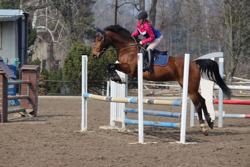 Hobby 31. b�ezna 2013 13:11:03