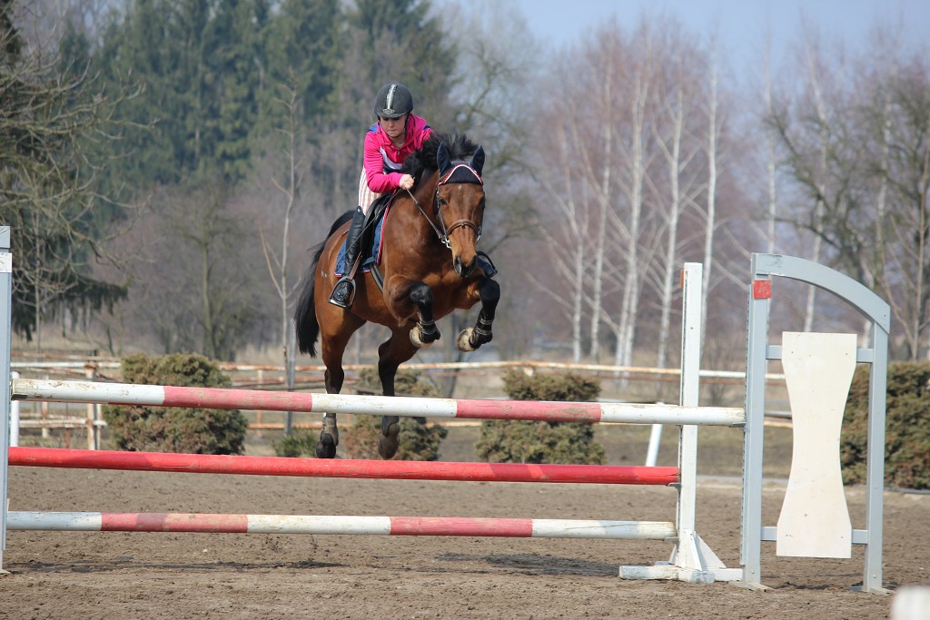 Hobby 31. b�ezna 2013 13:11:29