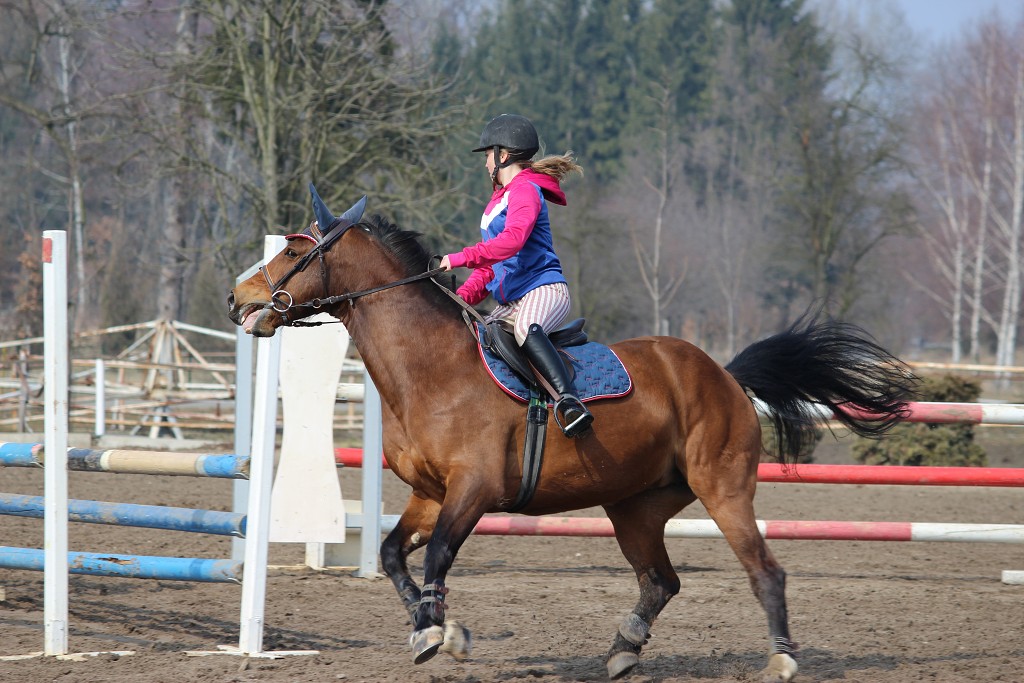 Hobby 31. b�ezna 2013 13:11:31