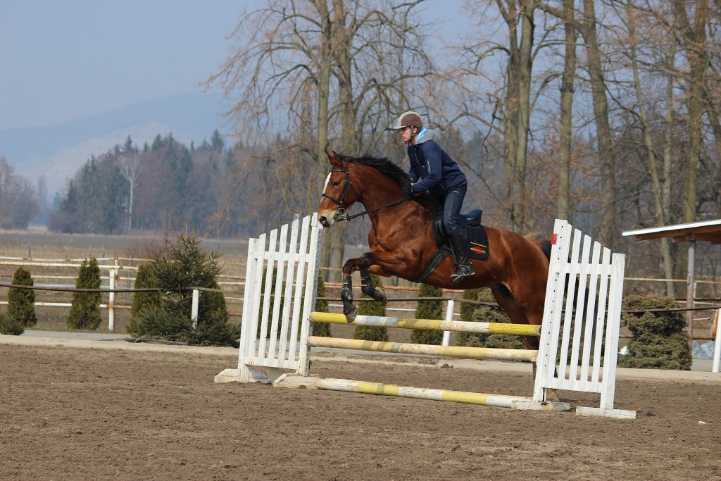 Hobby 31. b�ezna 2013 13:12:28