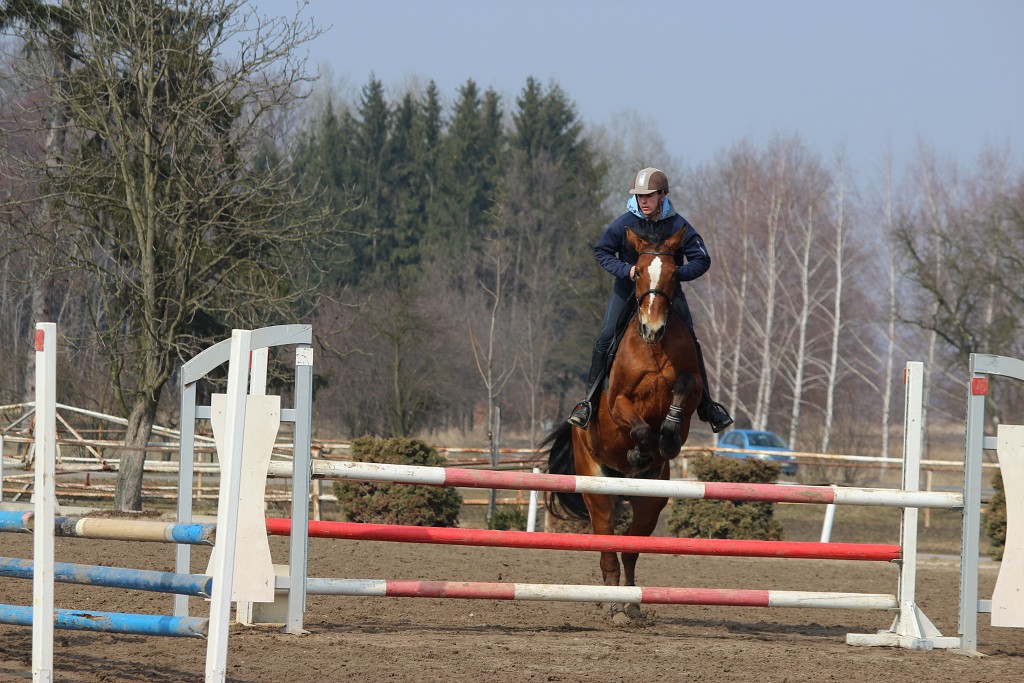 Hobby 31. b�ezna 2013 13:12:53