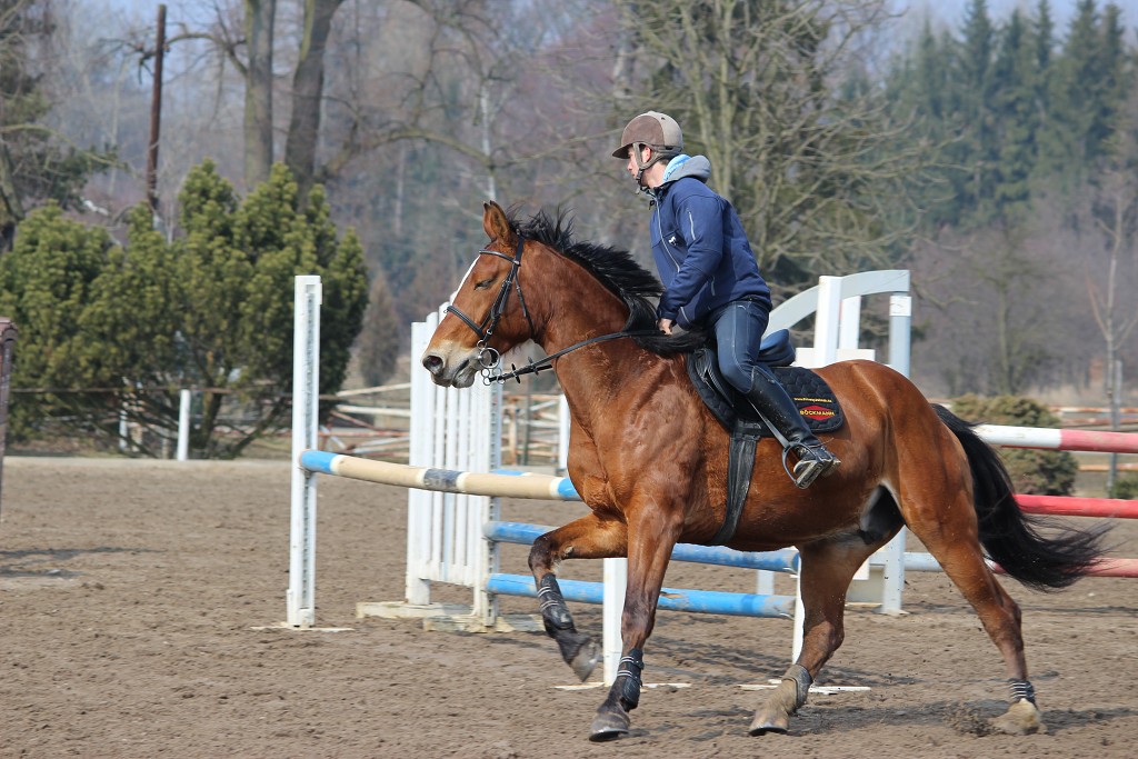 Hobby 31. b�ezna 2013 13:12:55