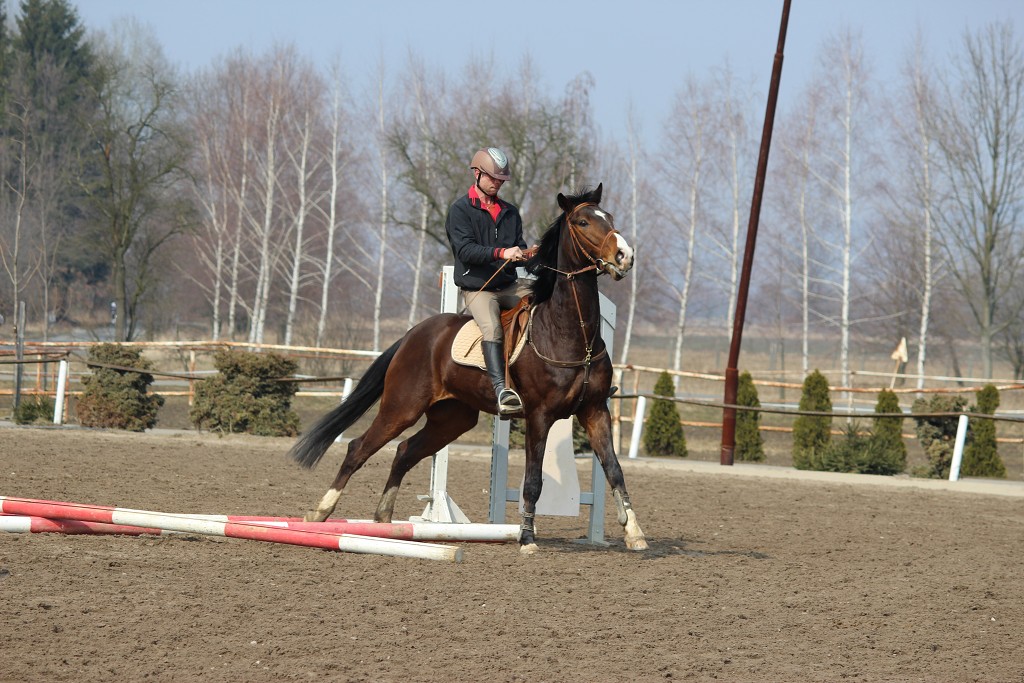 Hobby 31. b�ezna 2013 13:14:31