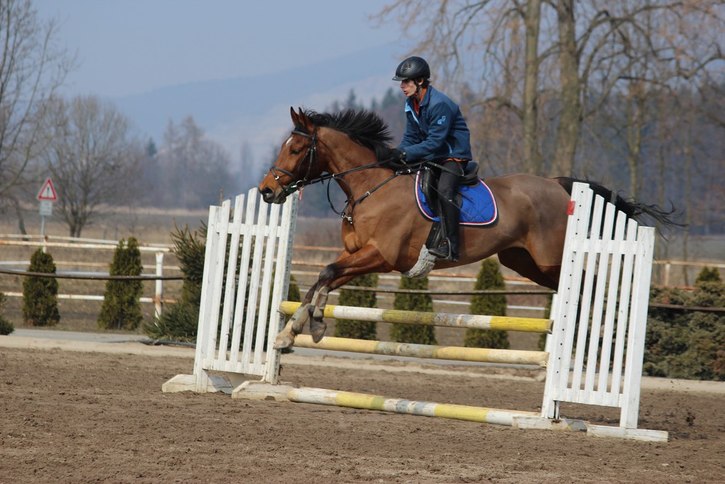 Hobby 31. b�ezna 2013 13:16:52