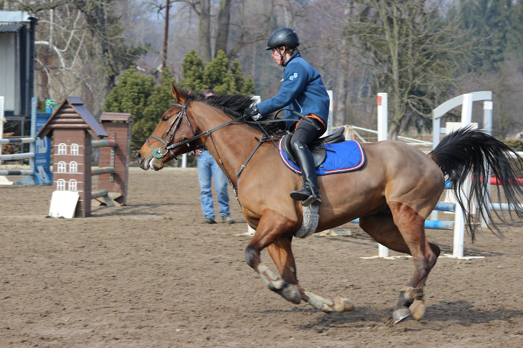 Hobby 31. b�ezna 2013 13:17:21