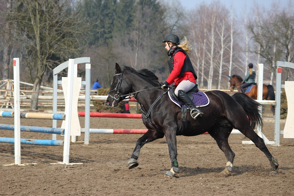 Hobby 31. b�ezna 2013 13:19:01