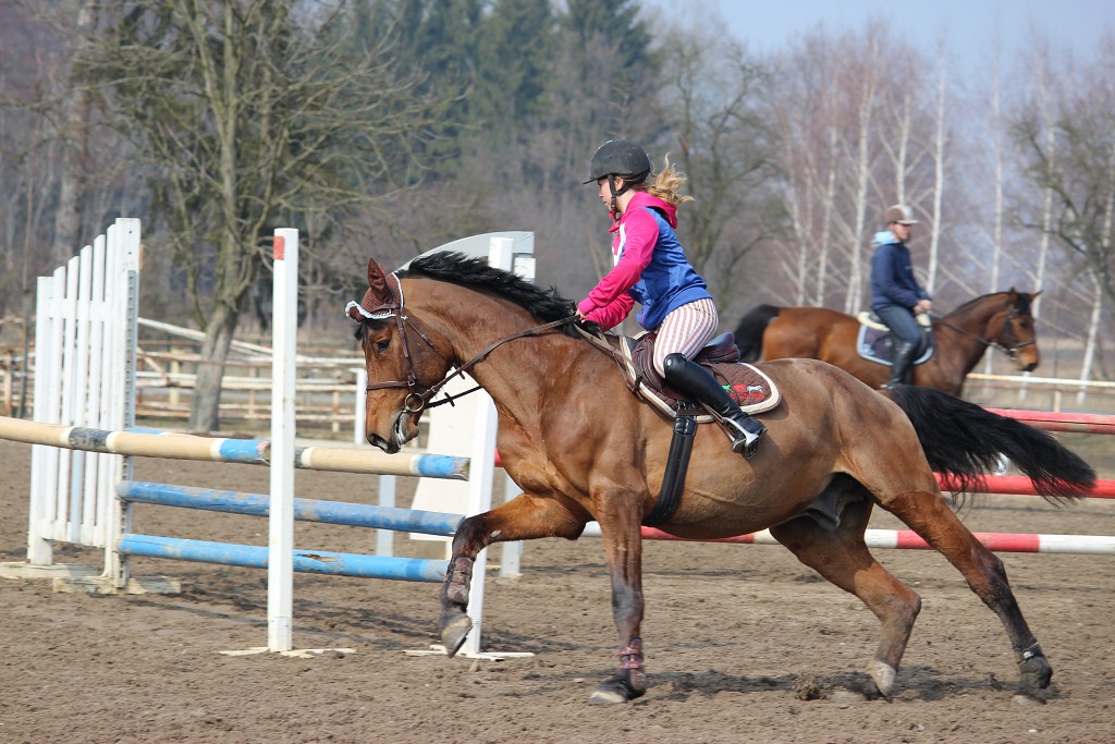 Hobby 31. b�ezna 2013 13:20:57