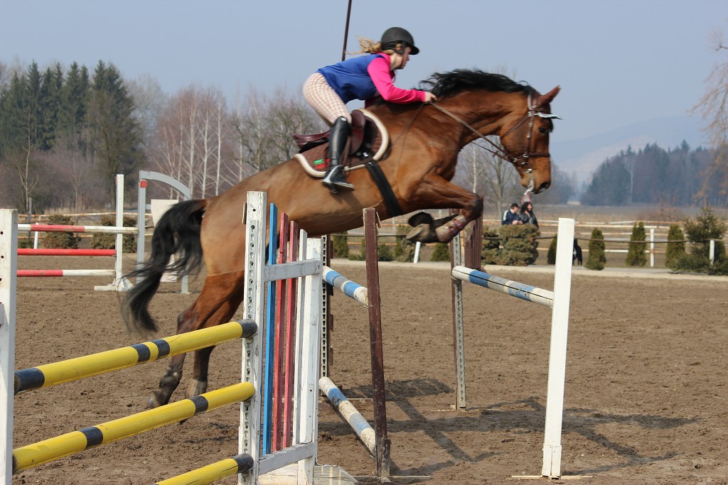 Hobby 31. b�ezna 2013 13:21:17