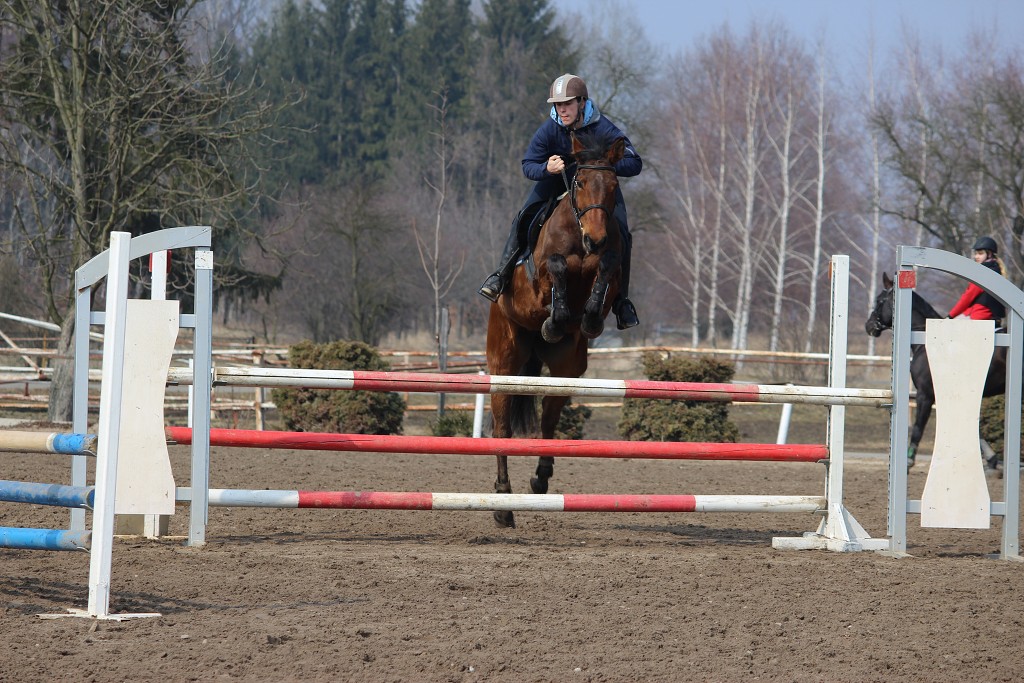 Hobby 31. b�ezna 2013 13:22:19